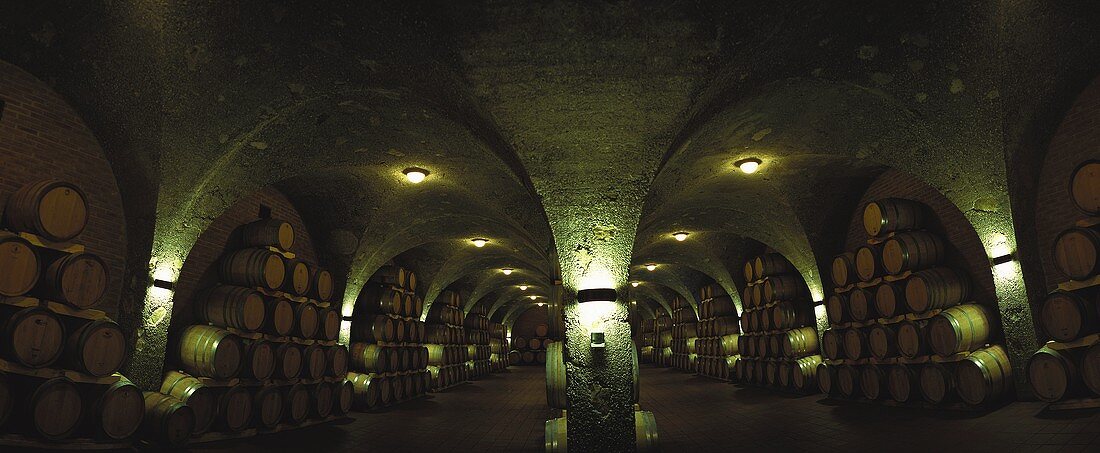 Wine cellar, Tenuta Corte Pavone, Montalcino, Tuscany, Italy