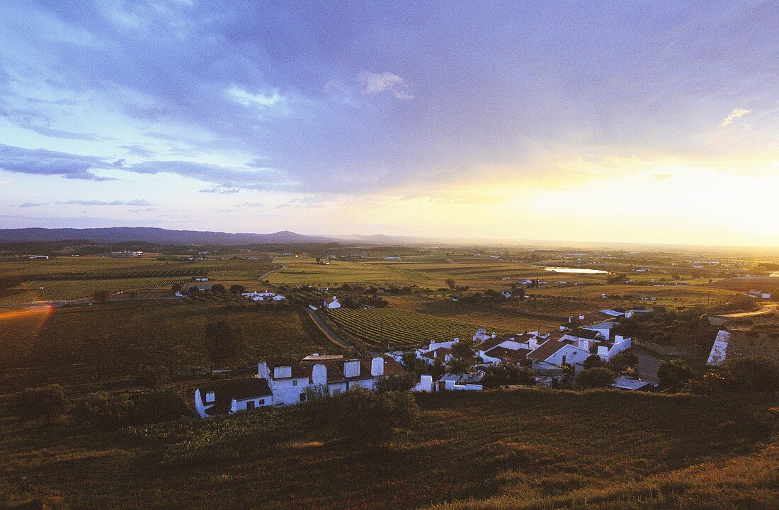 The town of Estremoz, Alentejo Central, Portugal