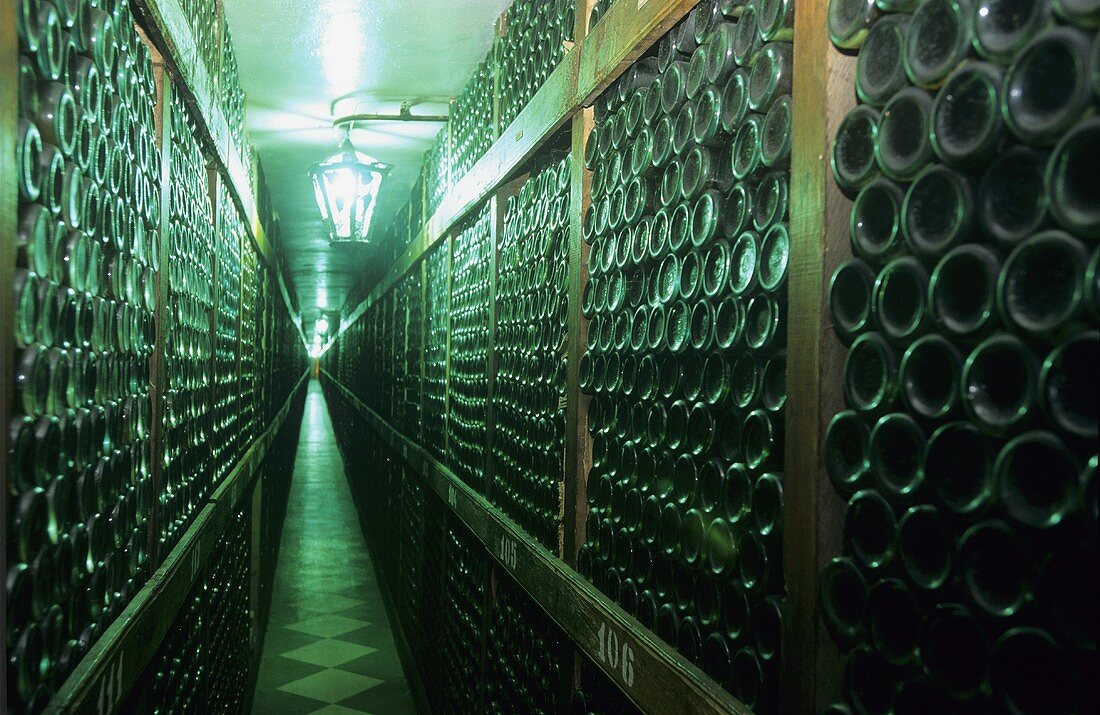 Flaschenregale im Weinkeller, Pancin, Rumänien