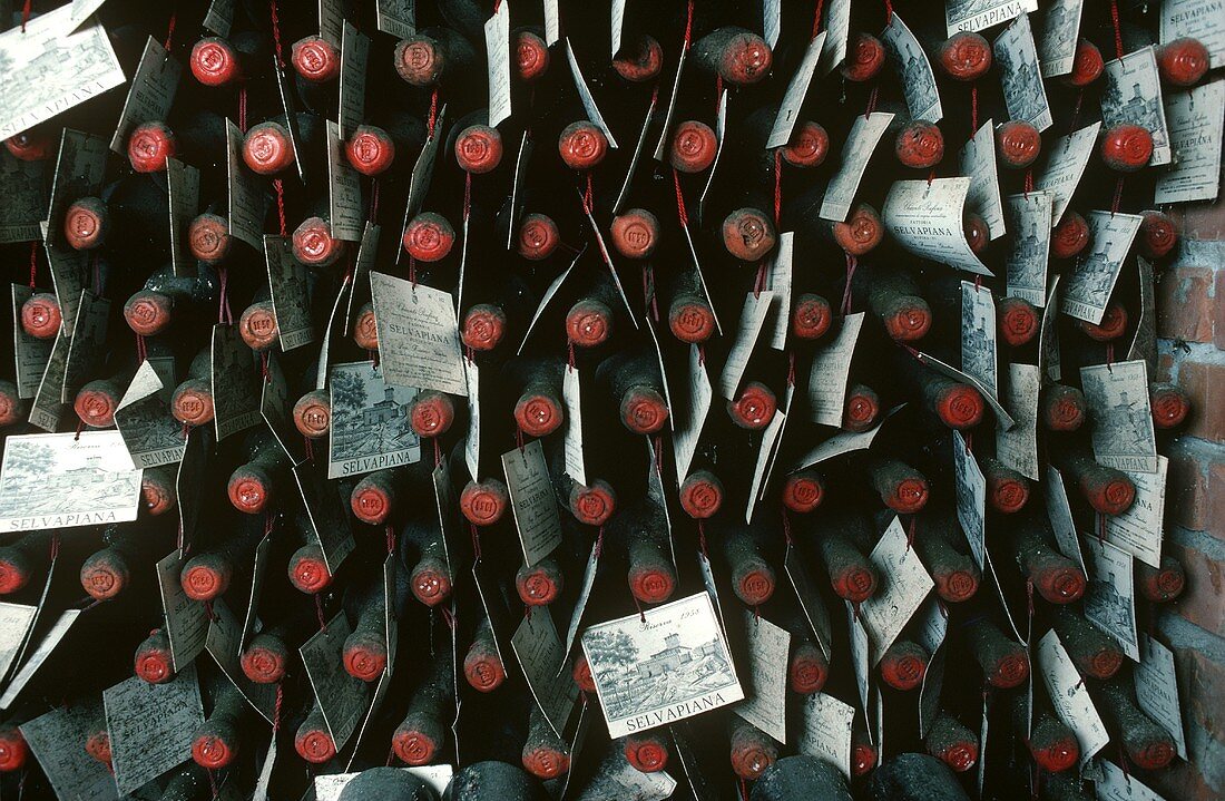 Alte Weinflaschen der Fattoria Selvapiana, Toskana, Italien