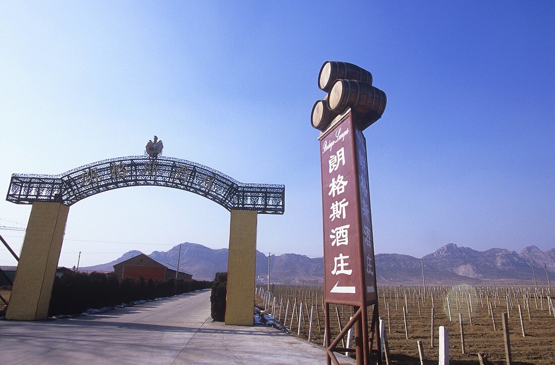 Eingang zu Bodega Langes, Changli, China