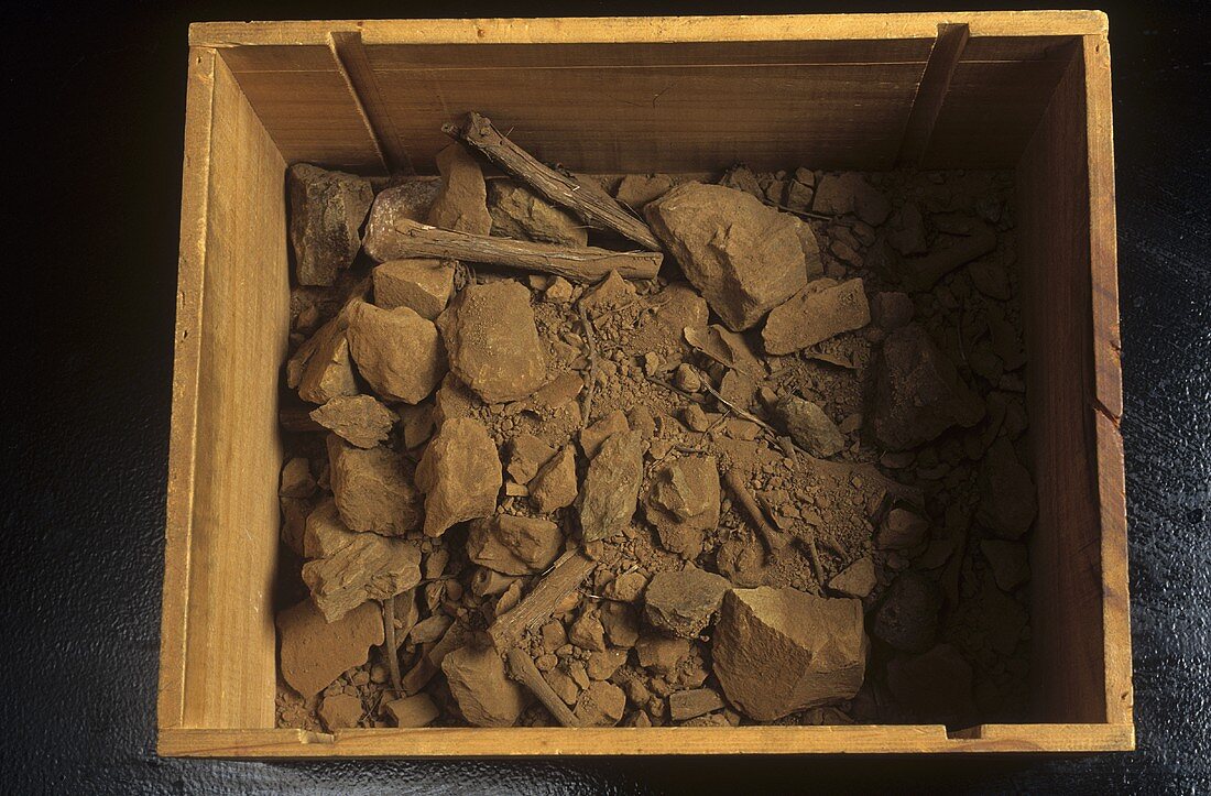 Terroir: grey slate soil in a box, Roussillon, France