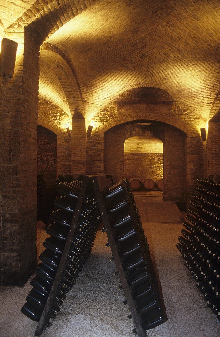 Contratto sparkling wine cellar, Canelli, Asti, Piedmont, Italy
