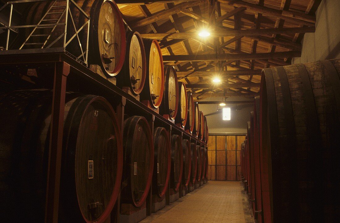 Weinkeller Cordero di Montezemolo, La Morra, Piemont, Italien