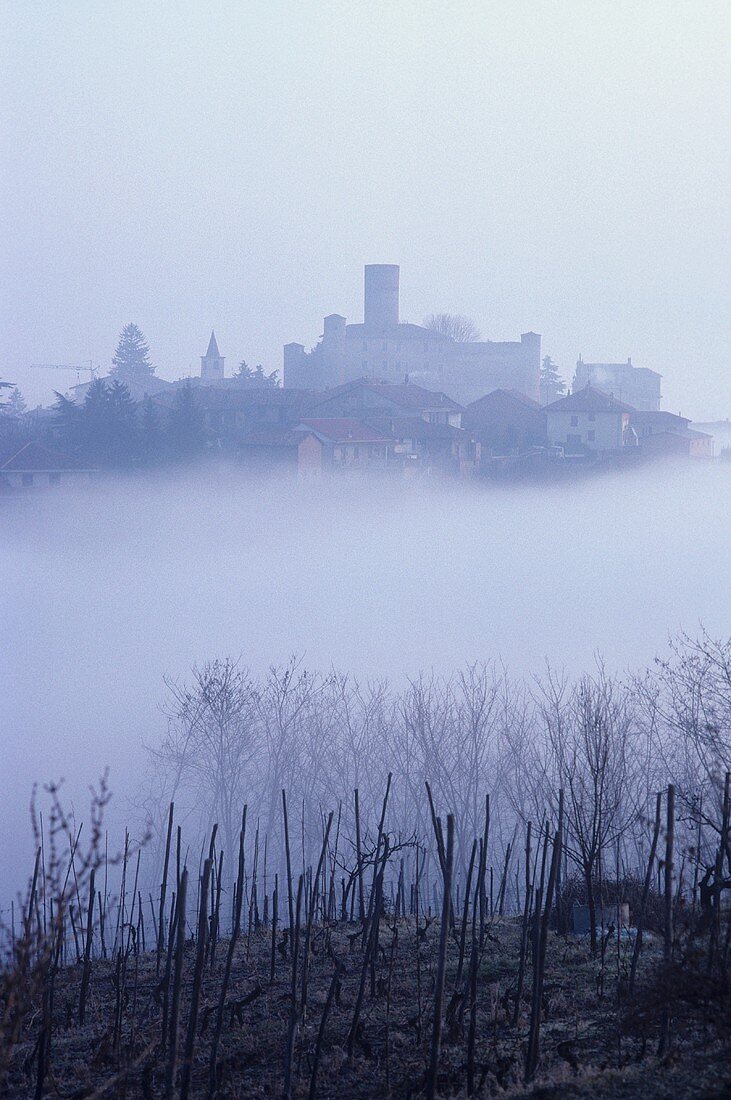 Das Barolo-Dorf Castiglione Falletto im Nebel, Piemont