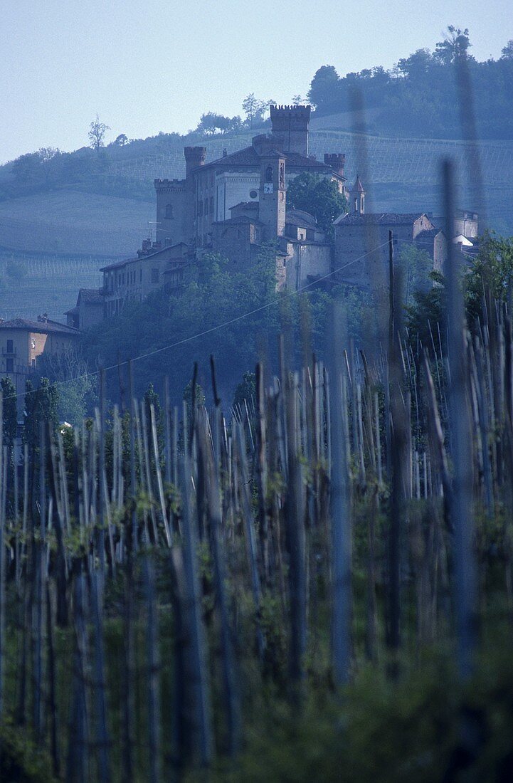 Das Castello im Weindorf Barolo, Piemonte, Italien