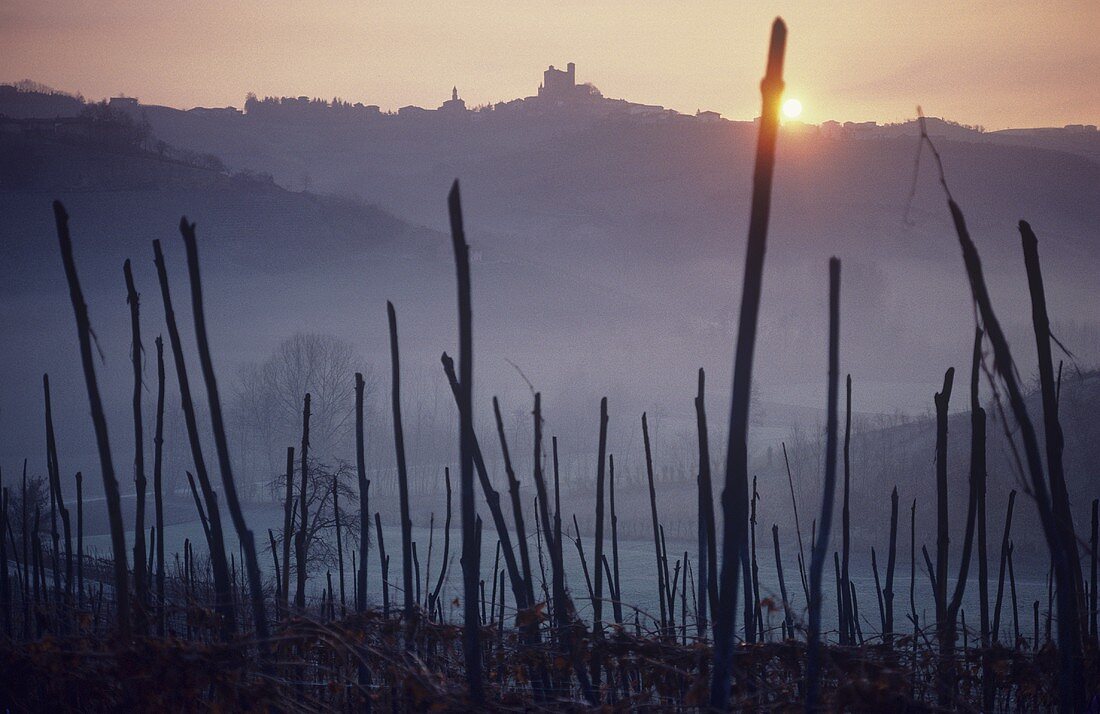 Die Ortschaft Serralunga d'Alba am Horizont, Piemonte, Italien