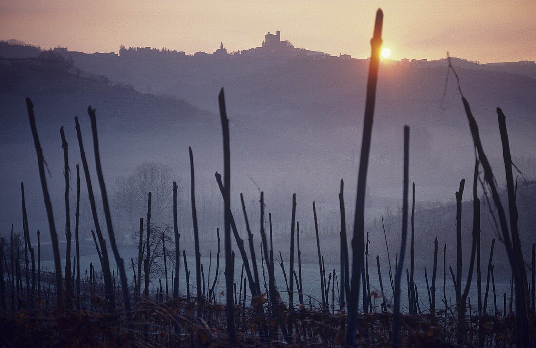 The settlement of Serralunga d'Alba on horizon, Piedmont, Italy