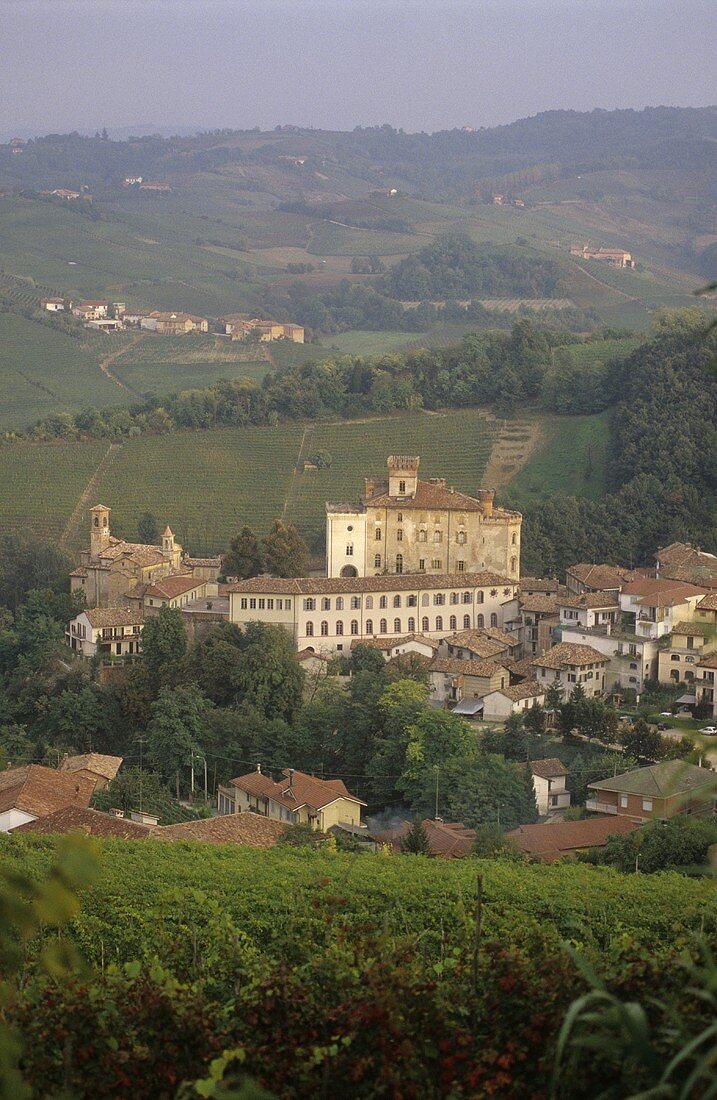 Das Weindorf Barolo mit Castello di Barolo, Piemonte, Italien