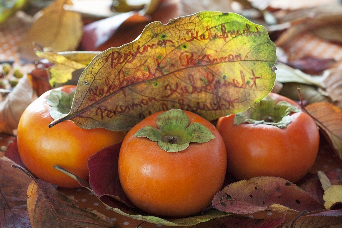 Persimmons with autumn leaves