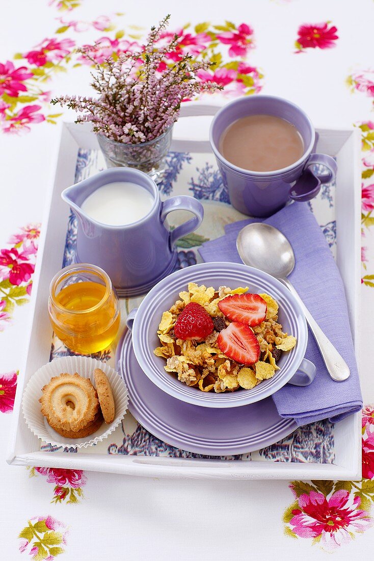Muesli, biscuits, honey, milk and cocoa on breakfast tray