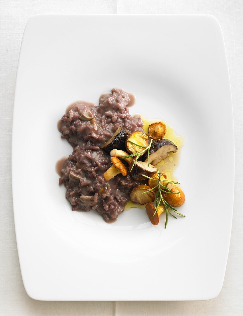 Red wine risotto with forest mushrooms