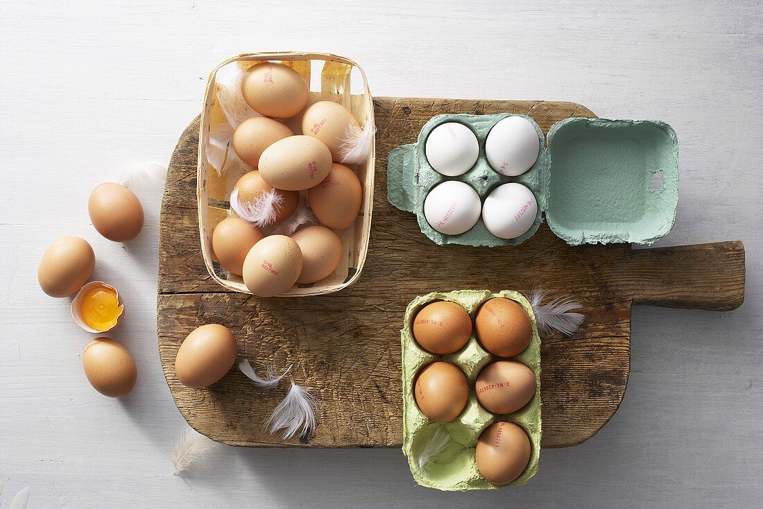 Eier mit verschiedenen Herkunfststempeln