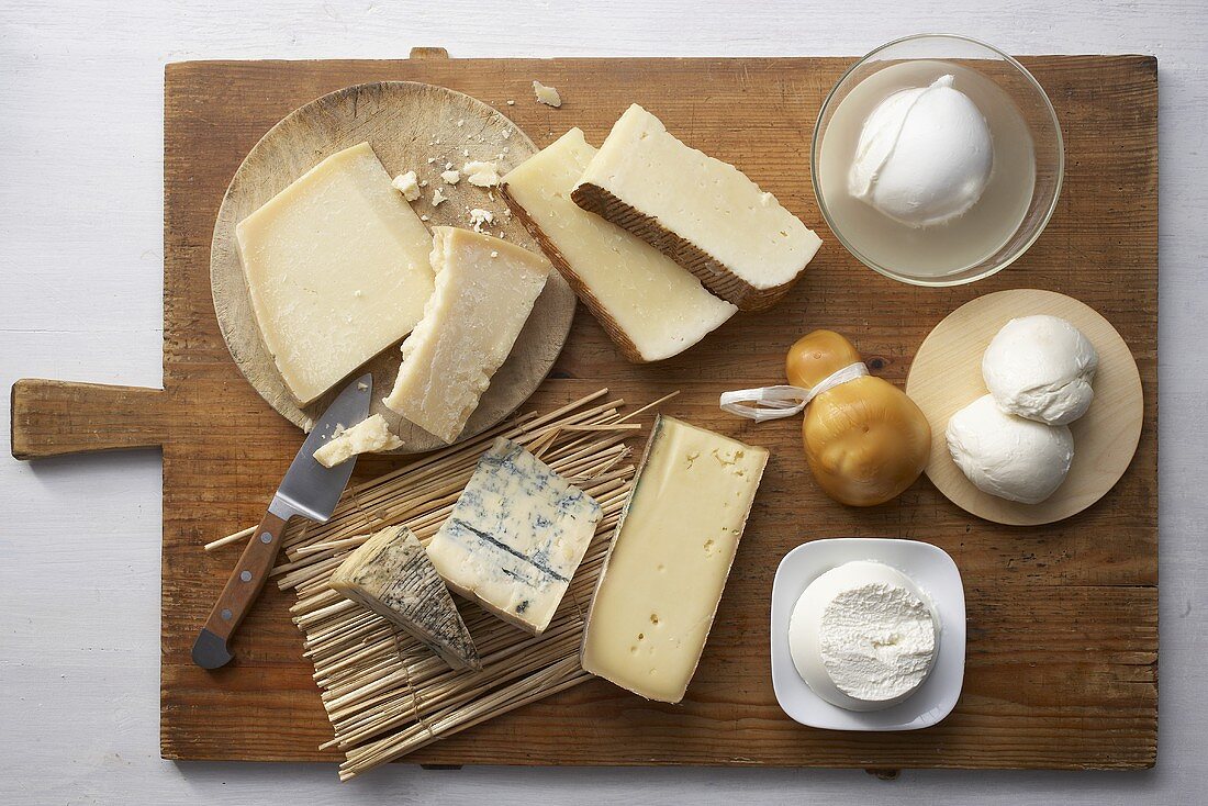 Still life with various cheeses