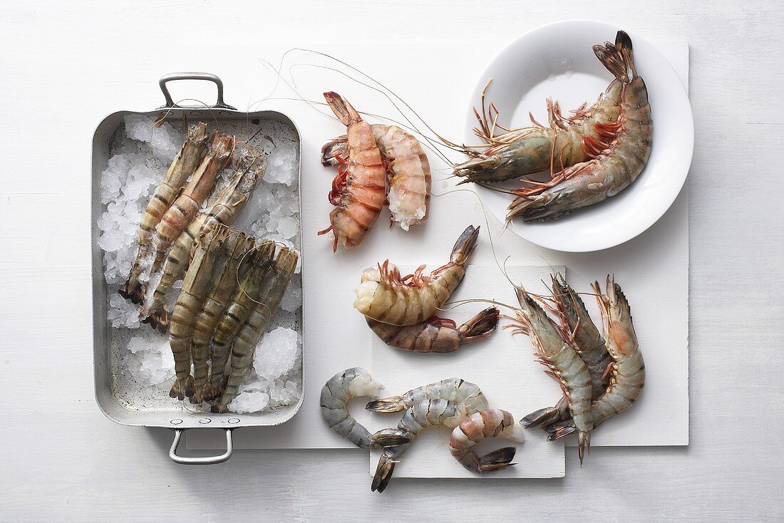 Still life with various types of prawns