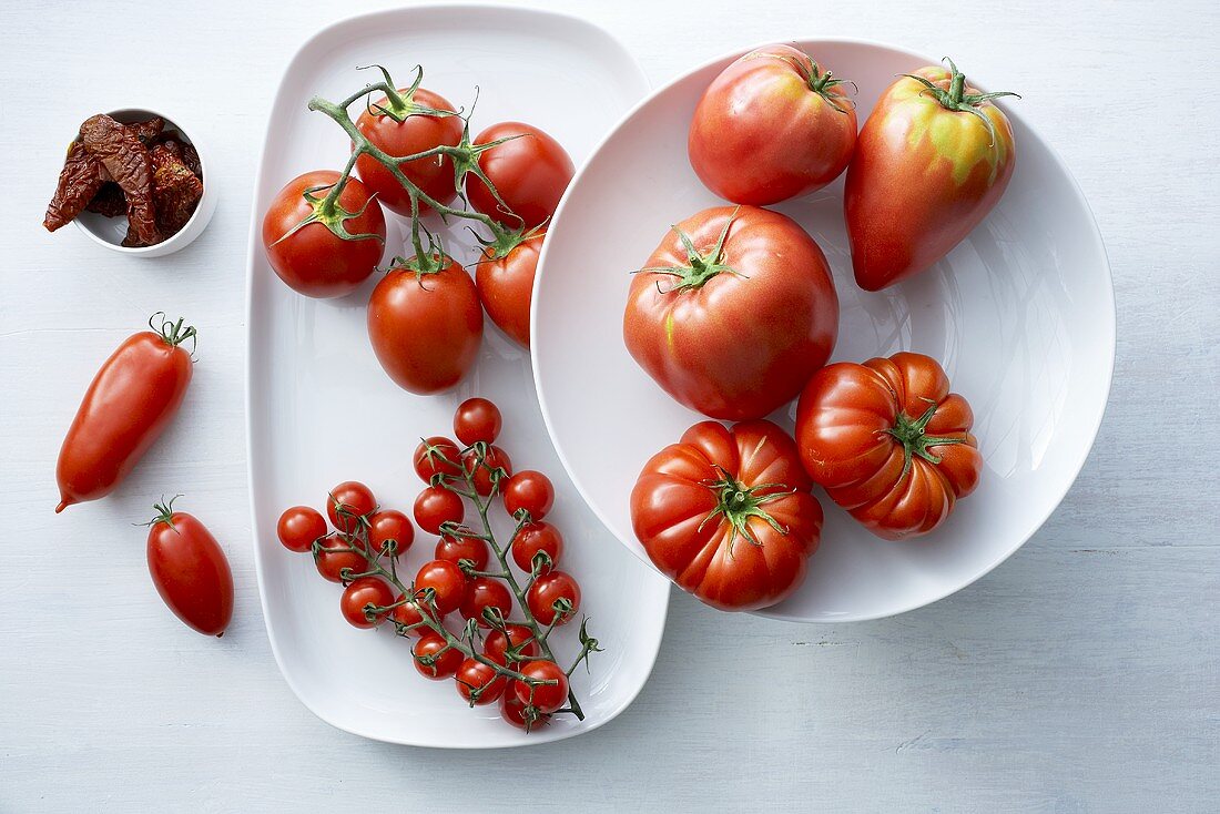 Still life with various types of tomatoes