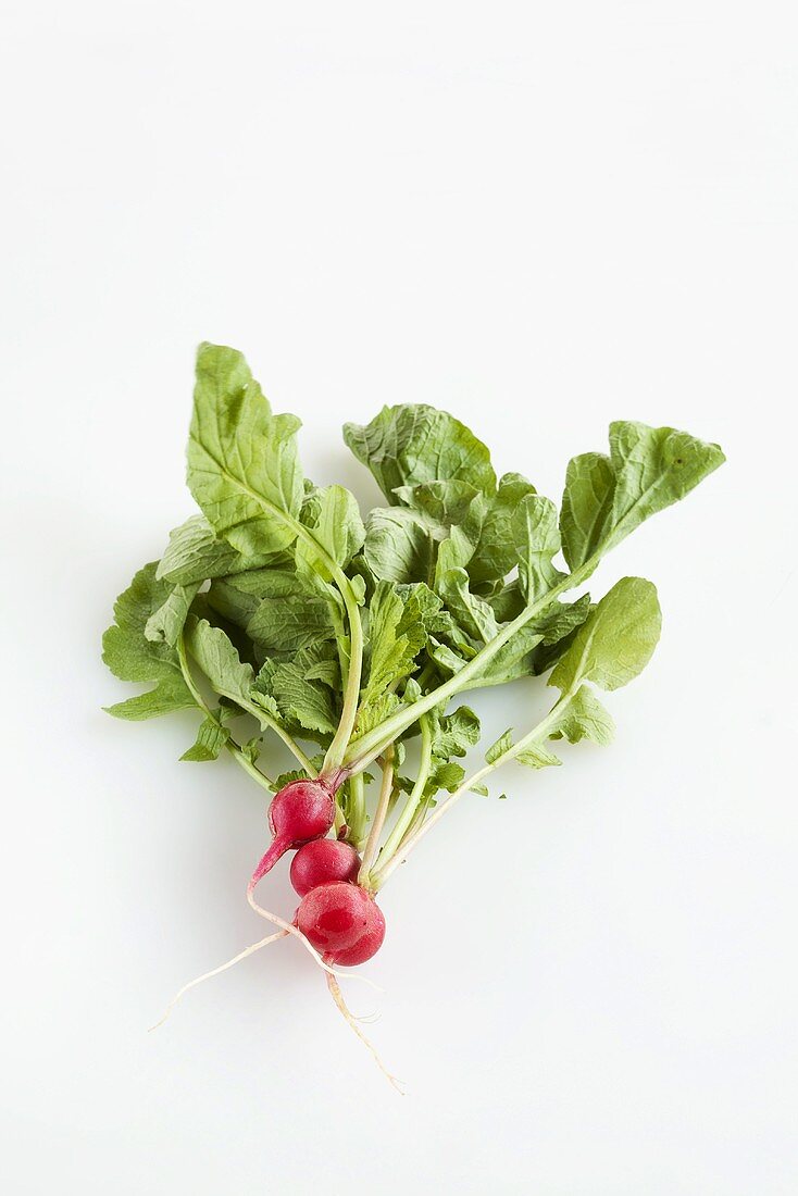 Three Radishes with Green