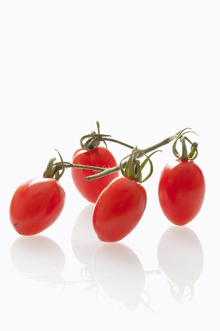 Plum tomatoes on the vine