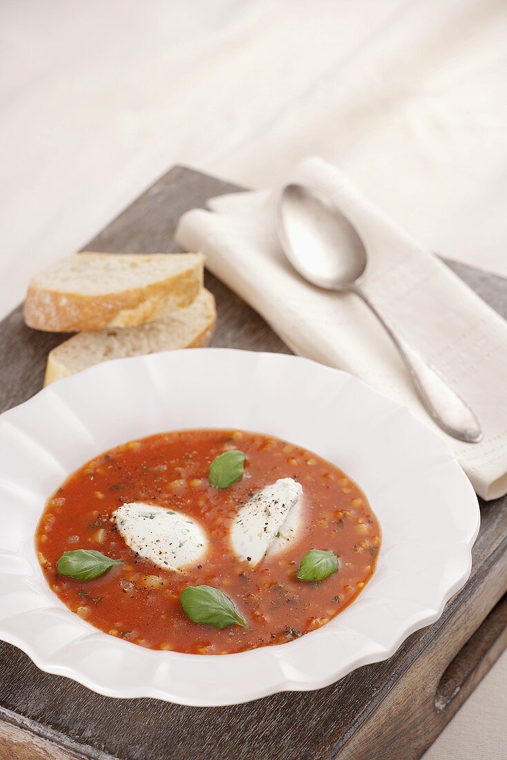 Tomatensuppe mit roten Linsen und Frischkäse