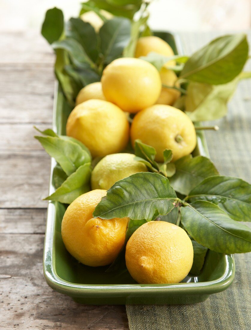 Zitronen mit Blättern in einer Schale