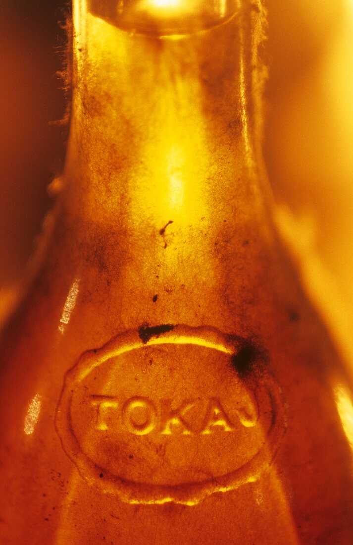 Old bottle of sweet Tokaj wine, Oremus Winery, Hungary