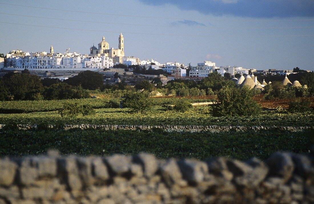 The white town of Locorotondo, Valle Itri, Apulia, Italy