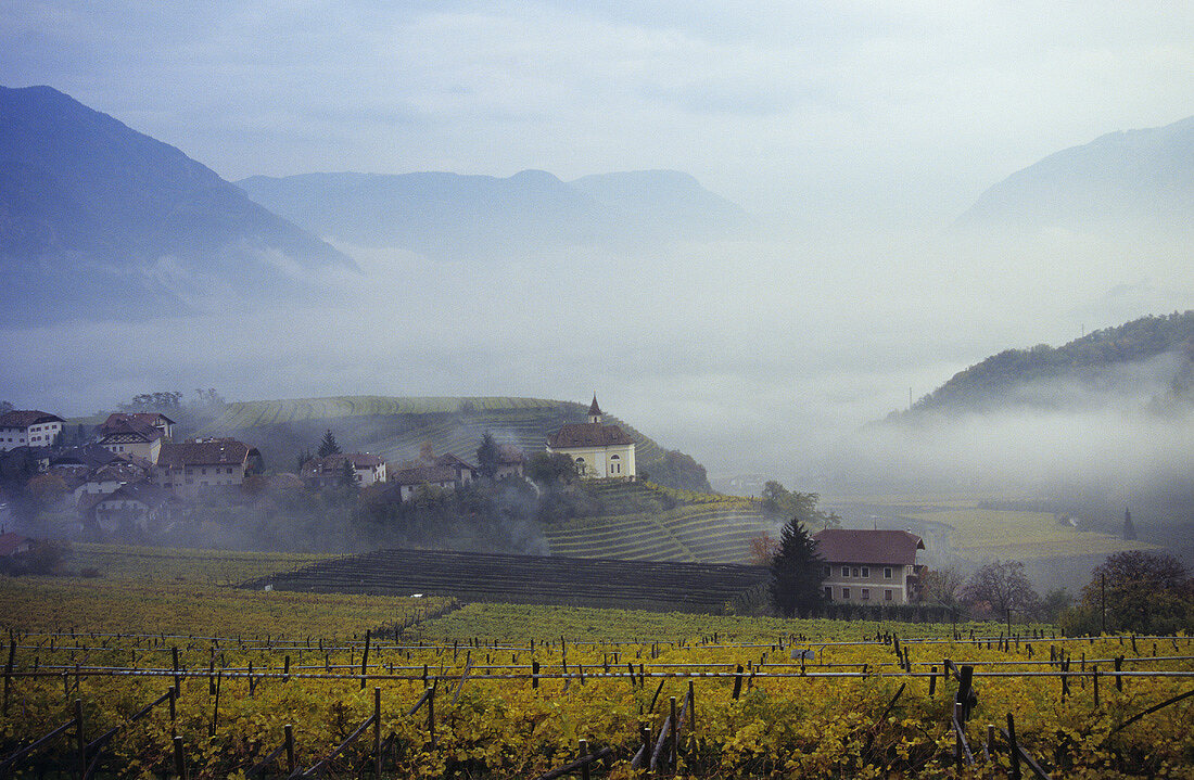 Dorf Missian, dahinter das Bozener Becken, Südtirol, Italien