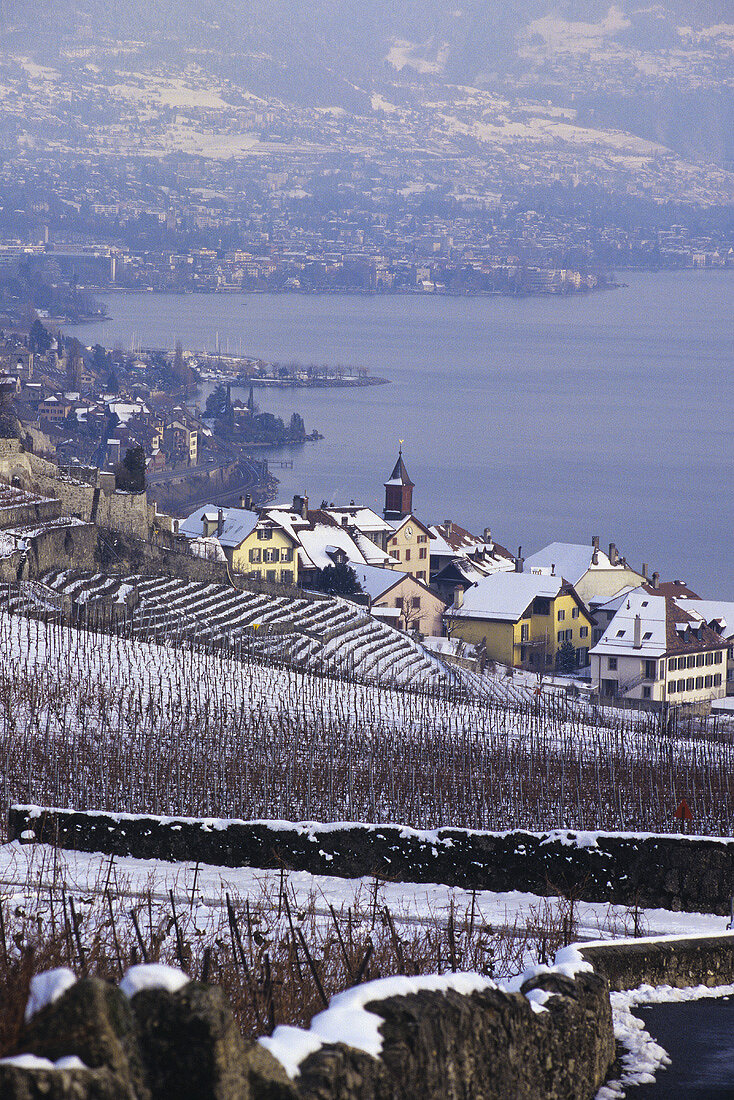 Wine villages of Rivaz & St. Saphorin, Lavaux, Vaud, Switzerland