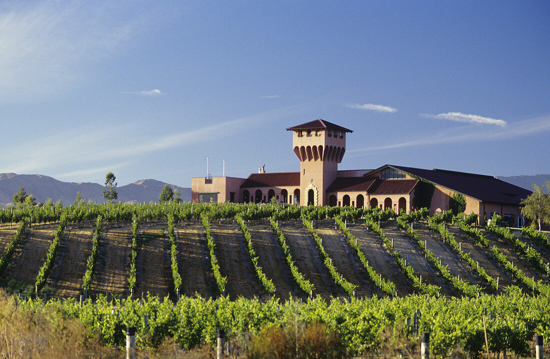 Highfield Estate Winery, Blenheim, Marlbourough, Neuseeland