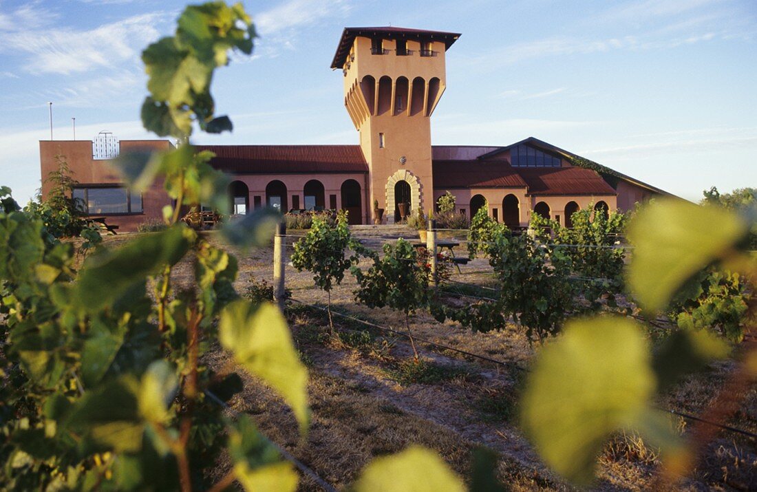 Highfield Estate Winery, Blenheim, Marlbourough, Neuseeland