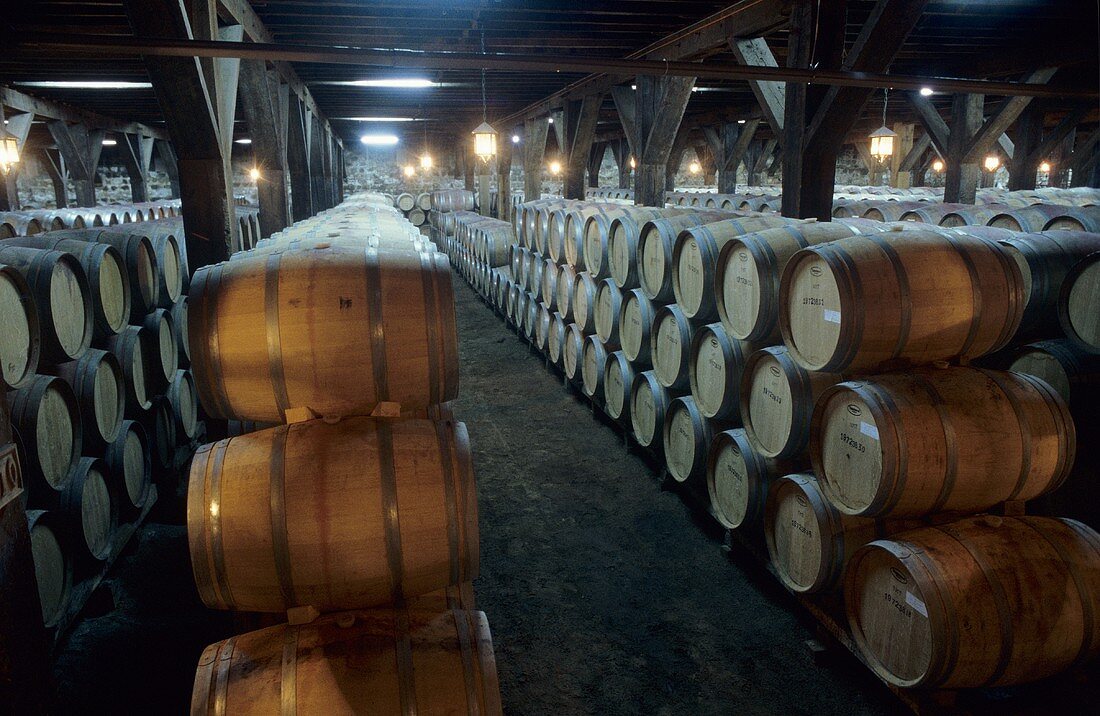 Historischer Keller, Weingut Vina Santa Rita, Santiago, Chile