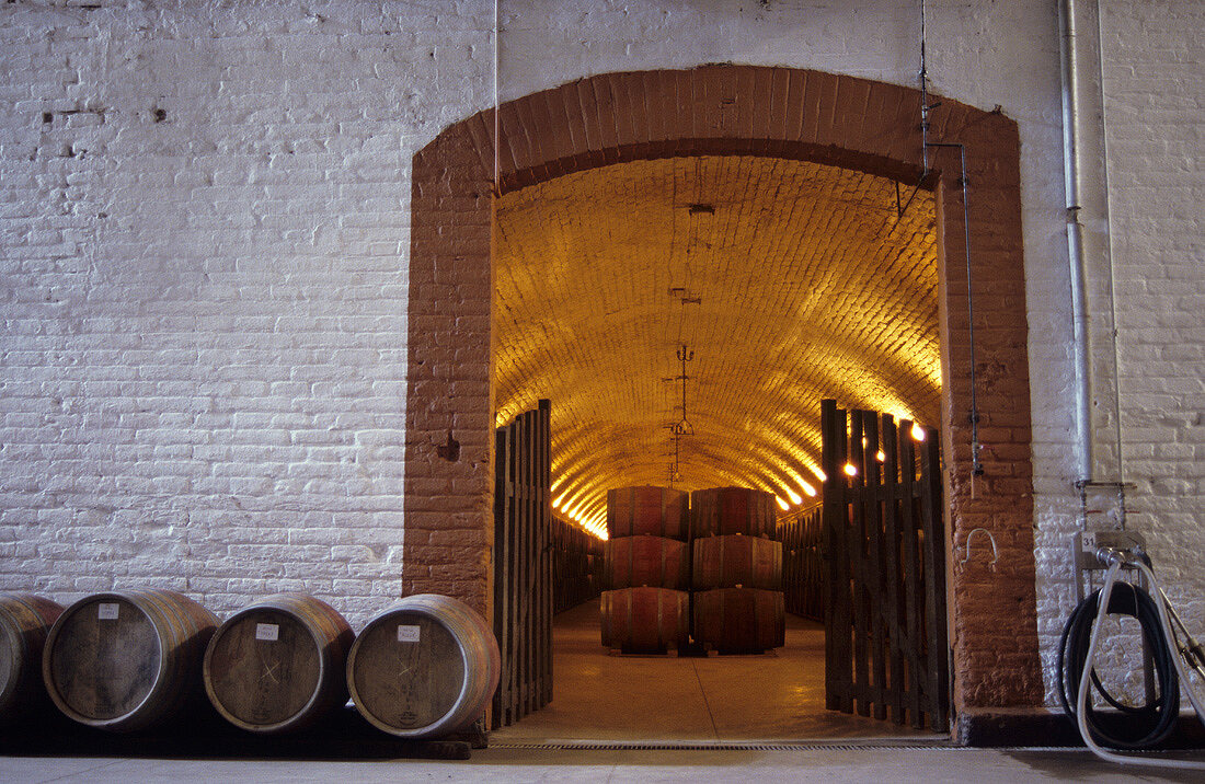 Keller vom Weingut Don Maximiano von Vina Errazuriz, Chile