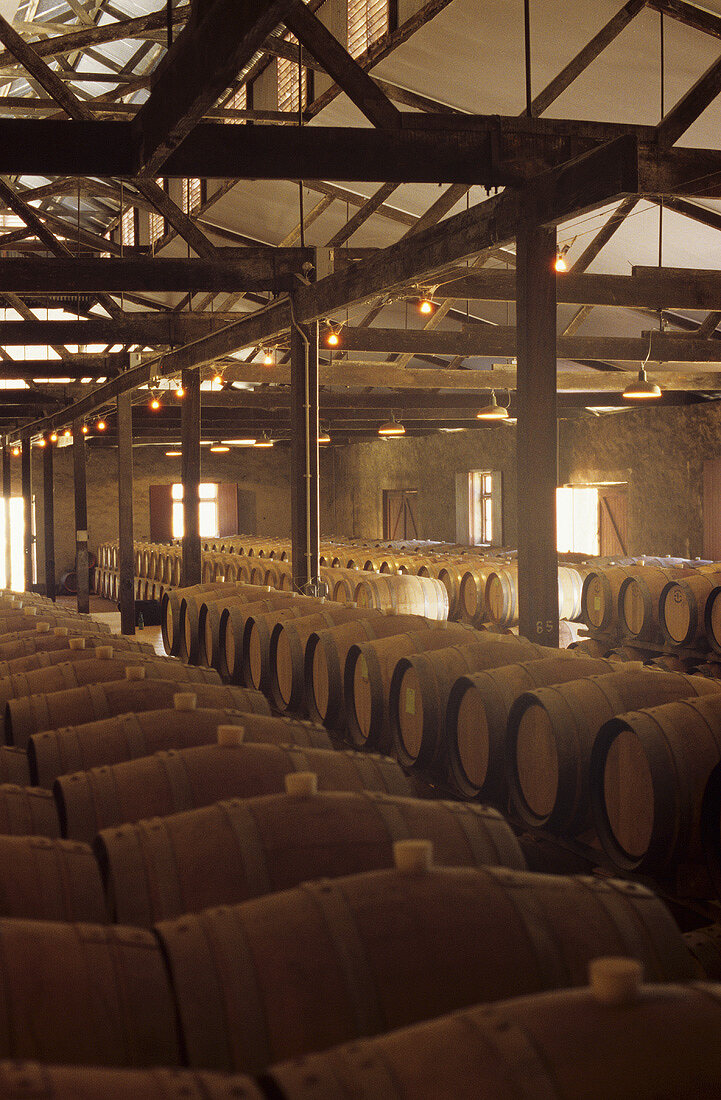 Historic barrique chai, Yalumba Winery, Barossa Valley, Australia