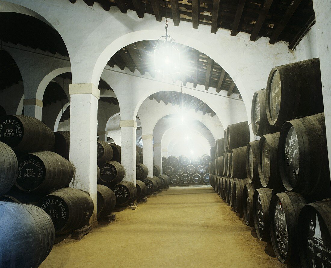 Weinkeller von Gonzalez Byass, Jerez de la Frontera, Spanien