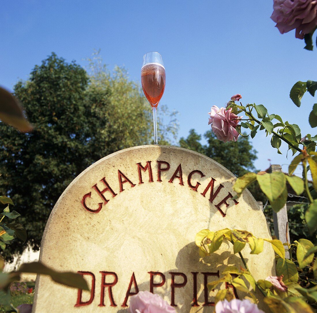 Drappier, Aube, Champagne, Frankreich