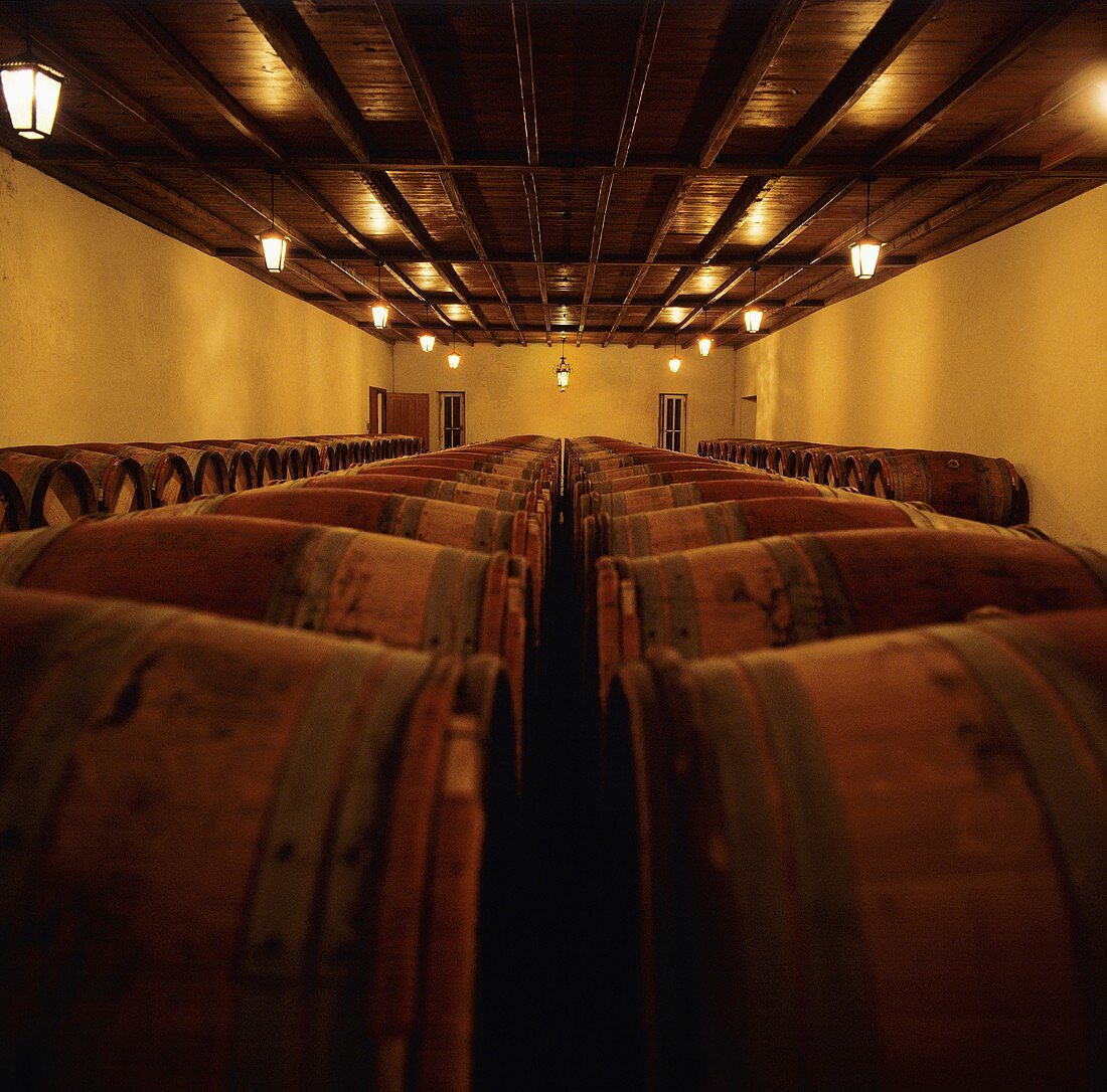 Wine cellar of famous Château Pétrus, Pomerol, Bordeaux, France