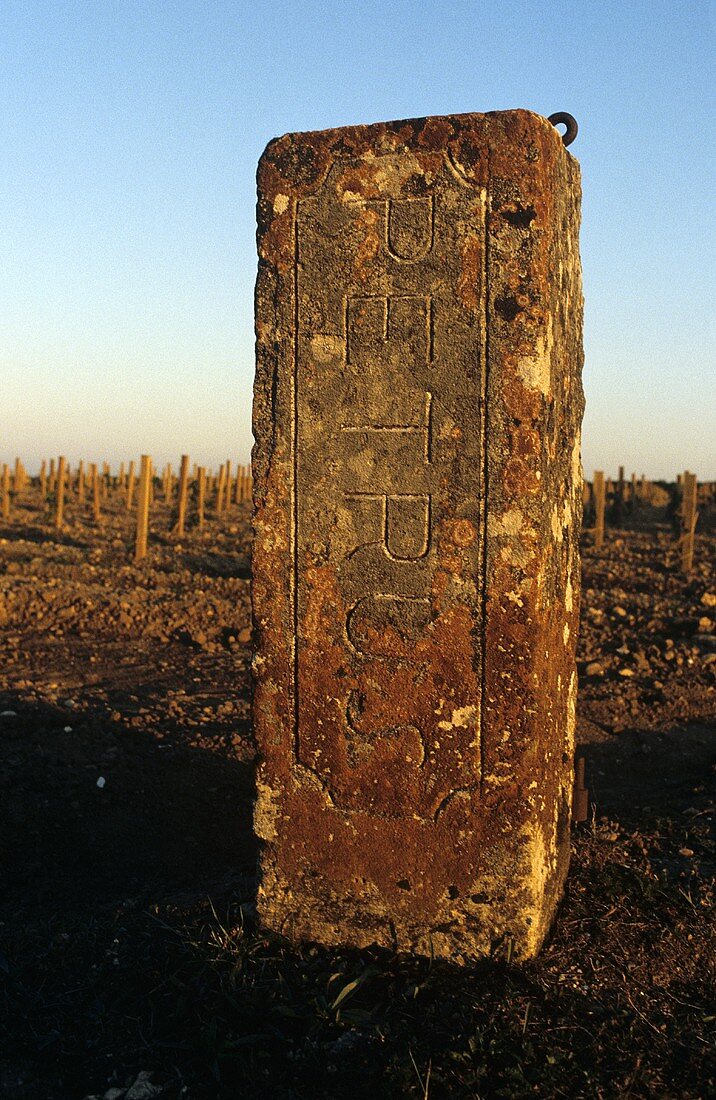 Markierungsstein, Château Petrus, Pomerol, Bordeaux, Frankreich