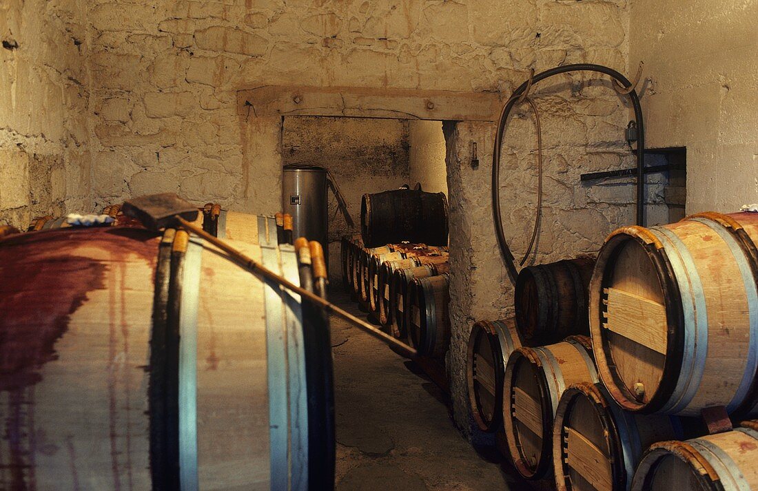 Weinkeller des Château le Pin, Pomerol, Bordeaux, Frankreich