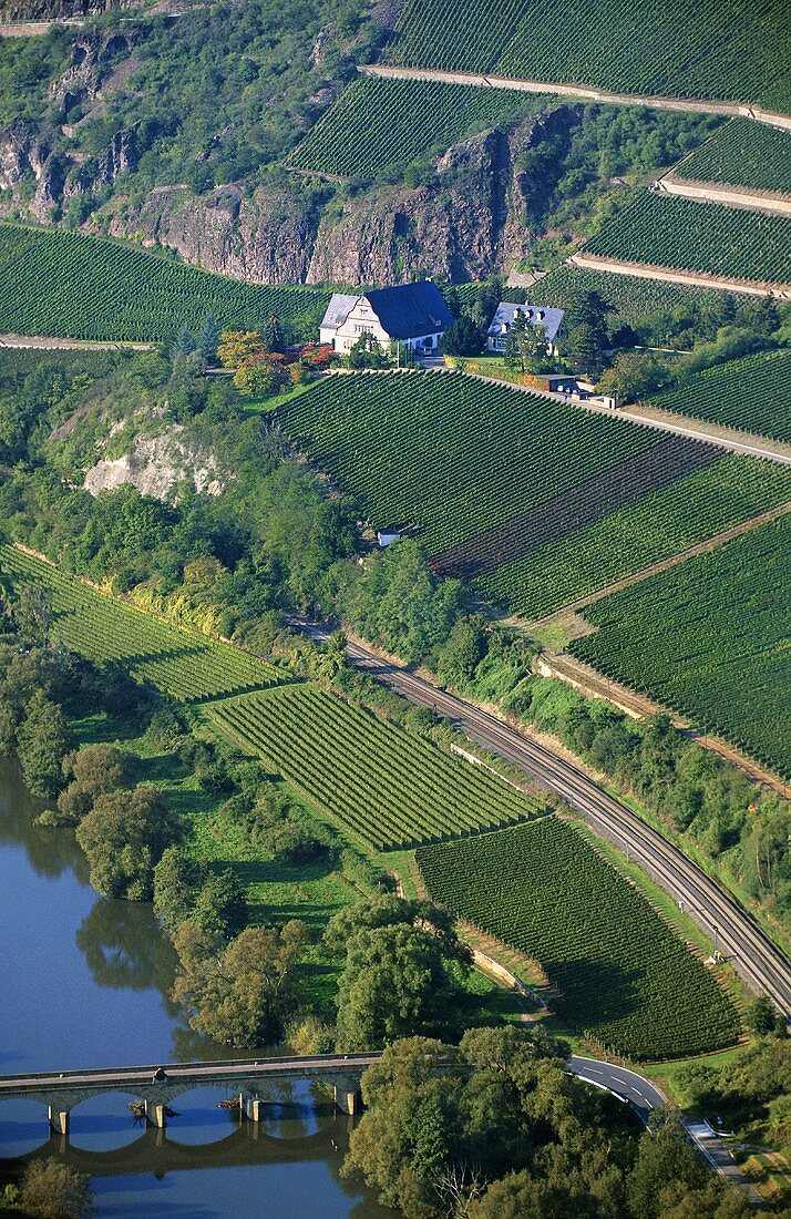 Einzellagen 'Niederhäuser Brücke', 'Niederhäuser Hermannsberg' und 'Schlossböckelheimer Kupfergrube', Nahe, Deutschland