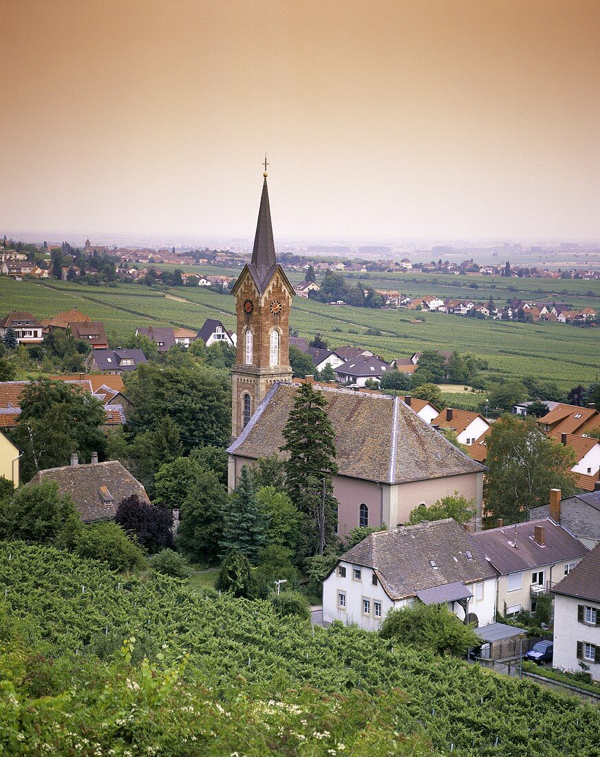 Vine village of Haardt, Palatinate, Germany