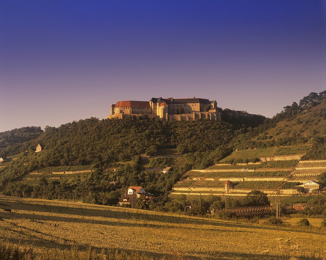 Vineyards with 'Schloss Neuenburg', Freyburg, Saale-Unstrut, Germany