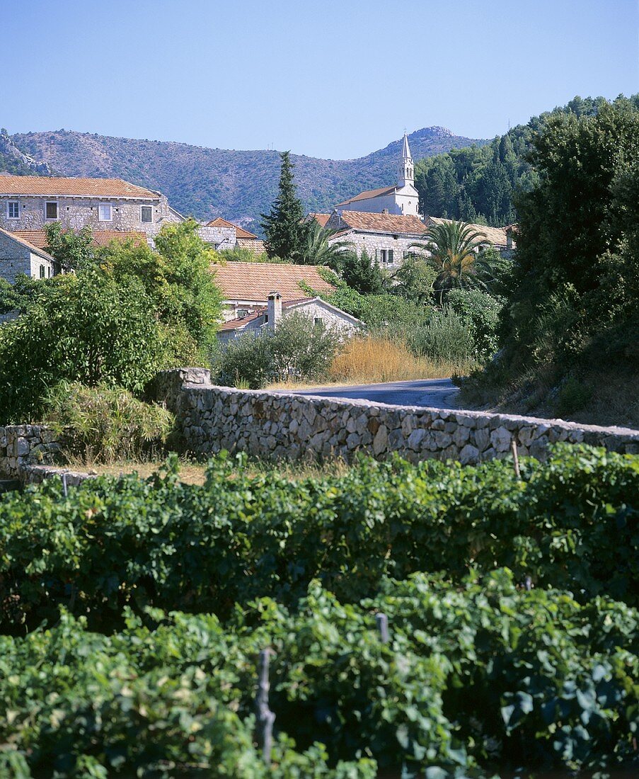 Wine village of Pitve, island of Hvar, Croatia