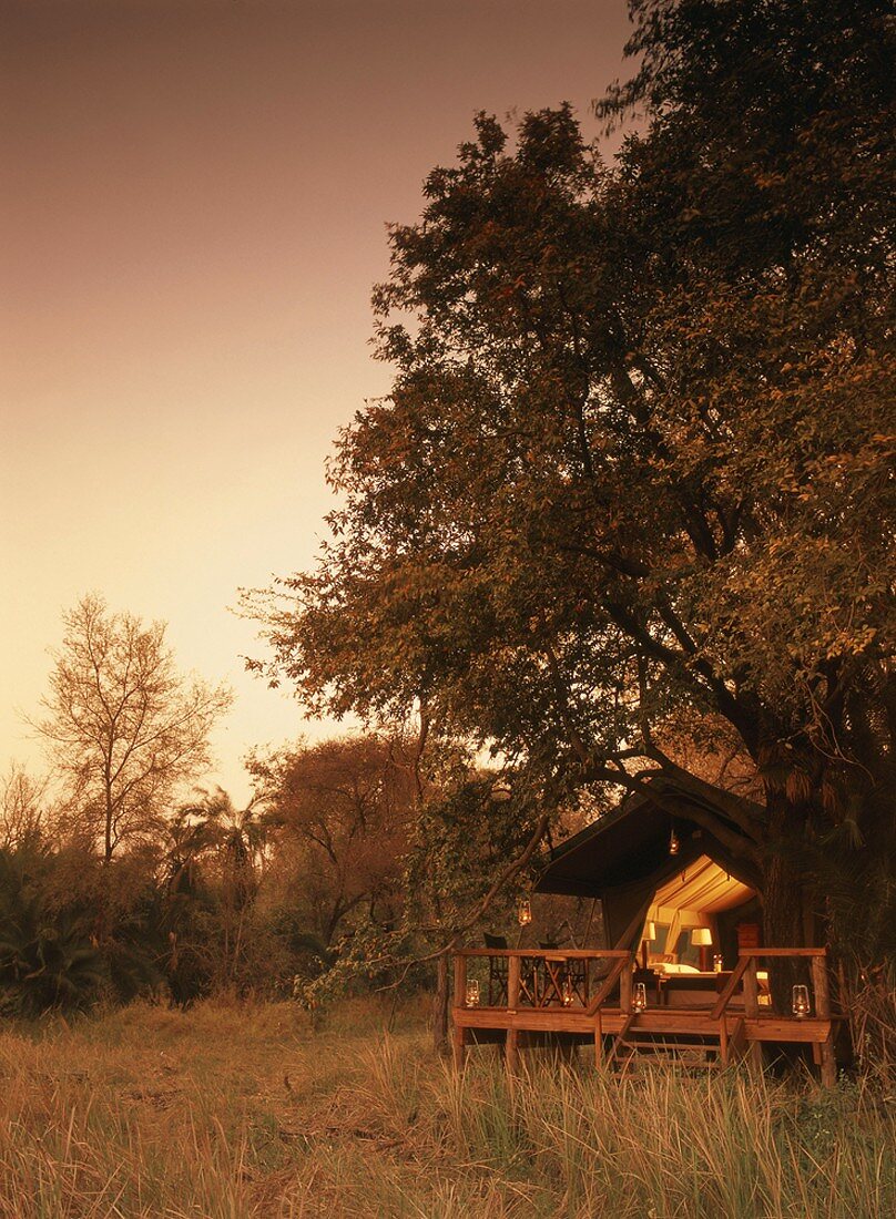 Wooden cabin with veranda in wild landscape