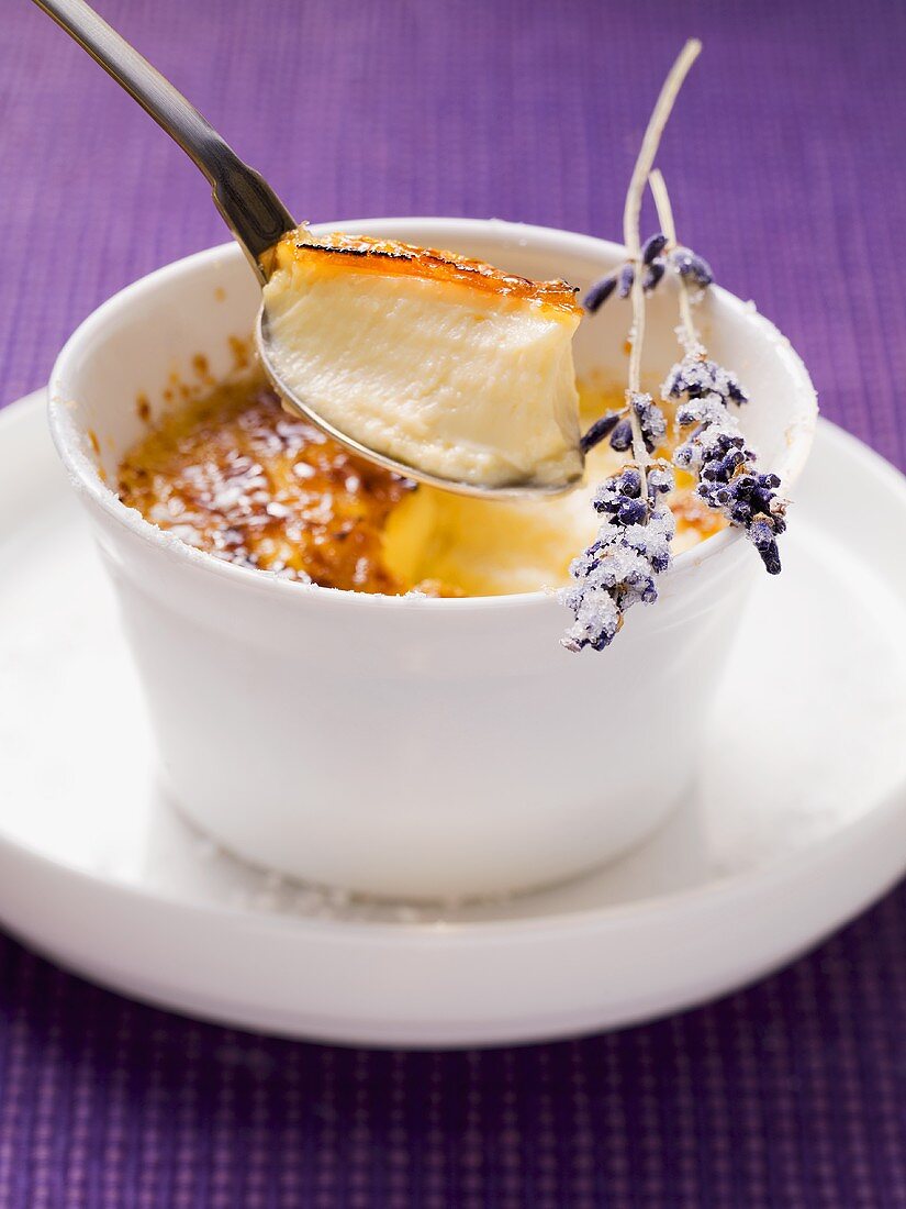 Crème brulée with lavender and fennel