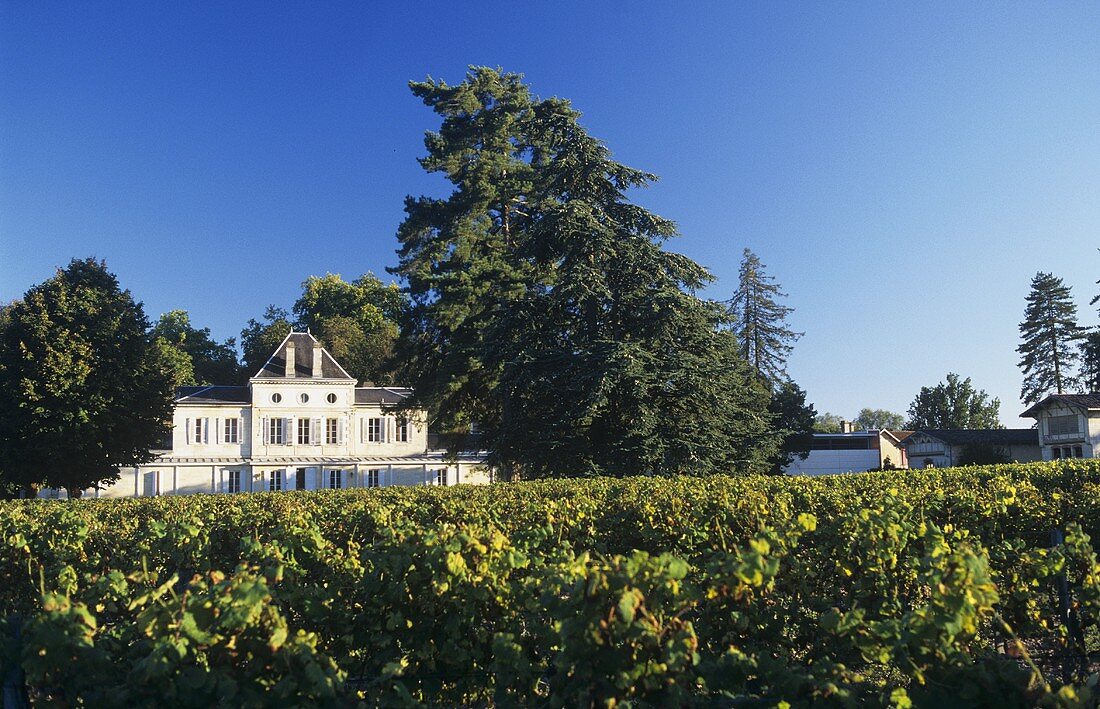 Das Château, Haut-Nouchet, Graves, Bordeaux, Frankreich