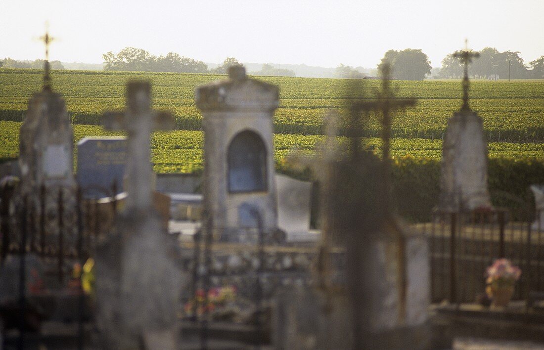 Ein Friedhof vor einem Weingut, St. Julien, Medoc, Frankreich