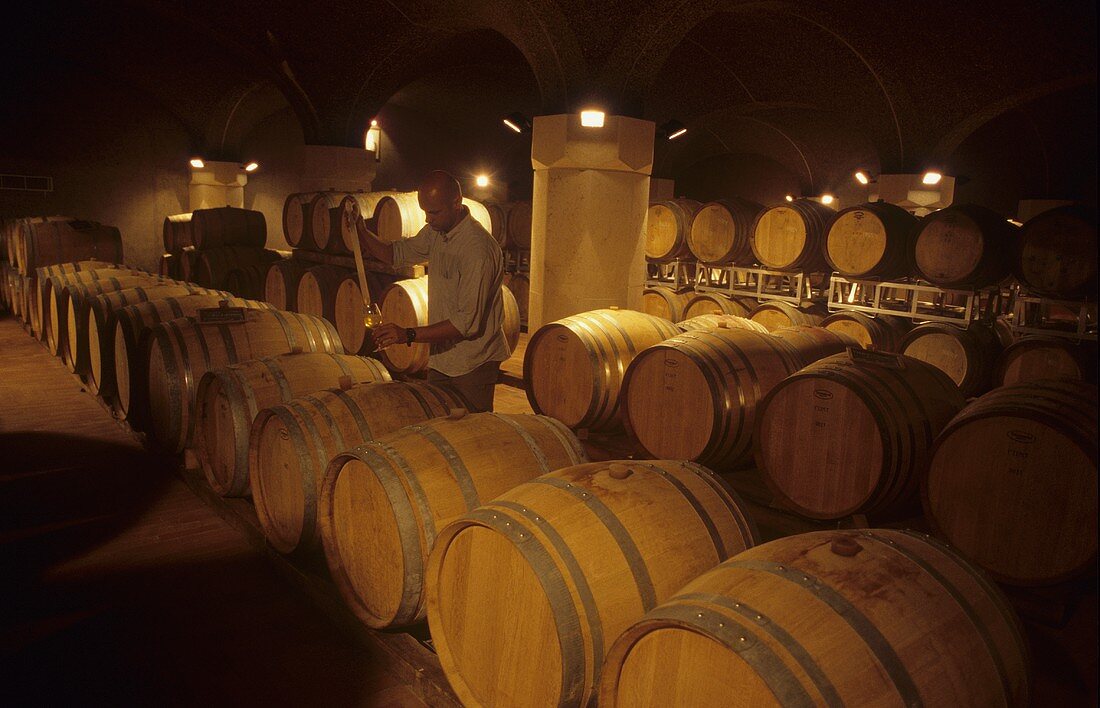 Winzer zieht Wein aus einem Barrique, Le Vigne di Zamo, Friuli, Italien