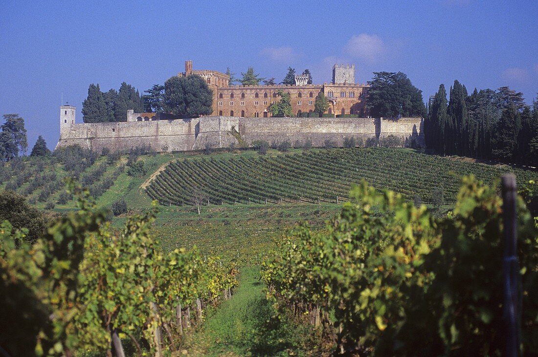 Castello di Brolio vom Weingut Ricasoli, Chianti Classico