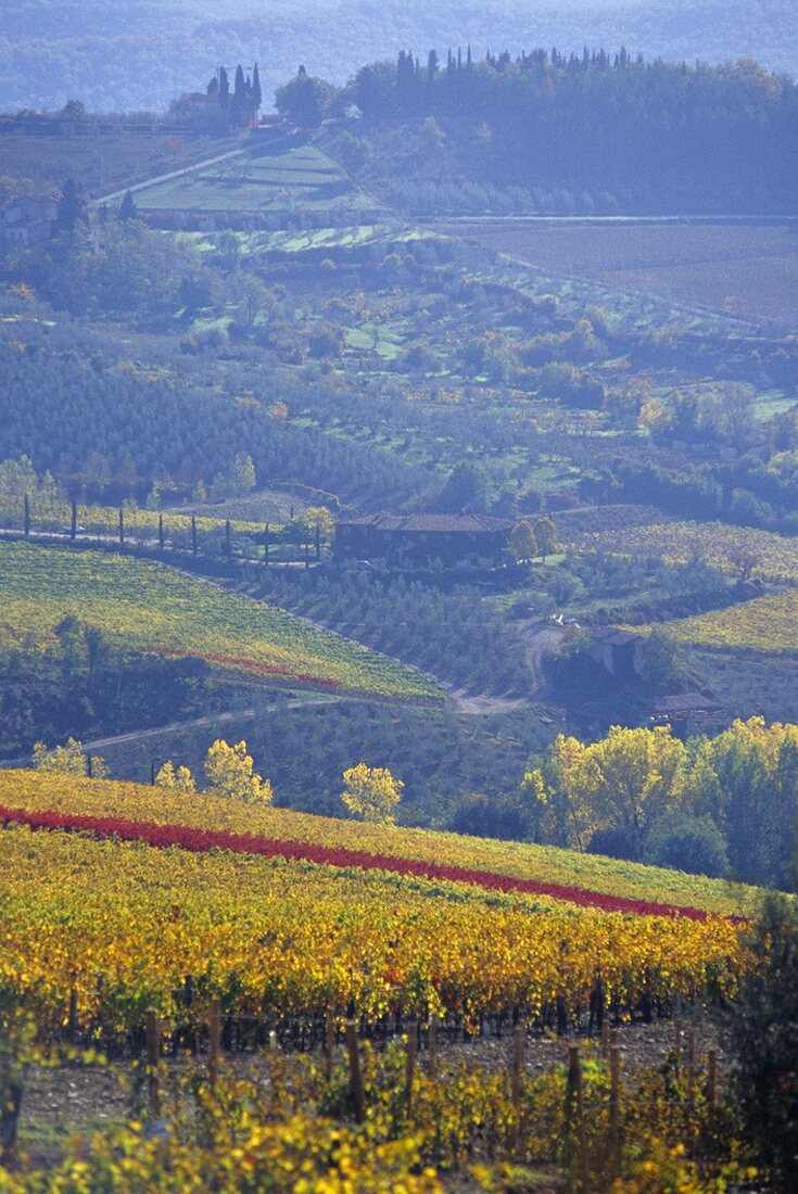 Das berühmte Weinabaugebiet Chianti Classico, Toskana