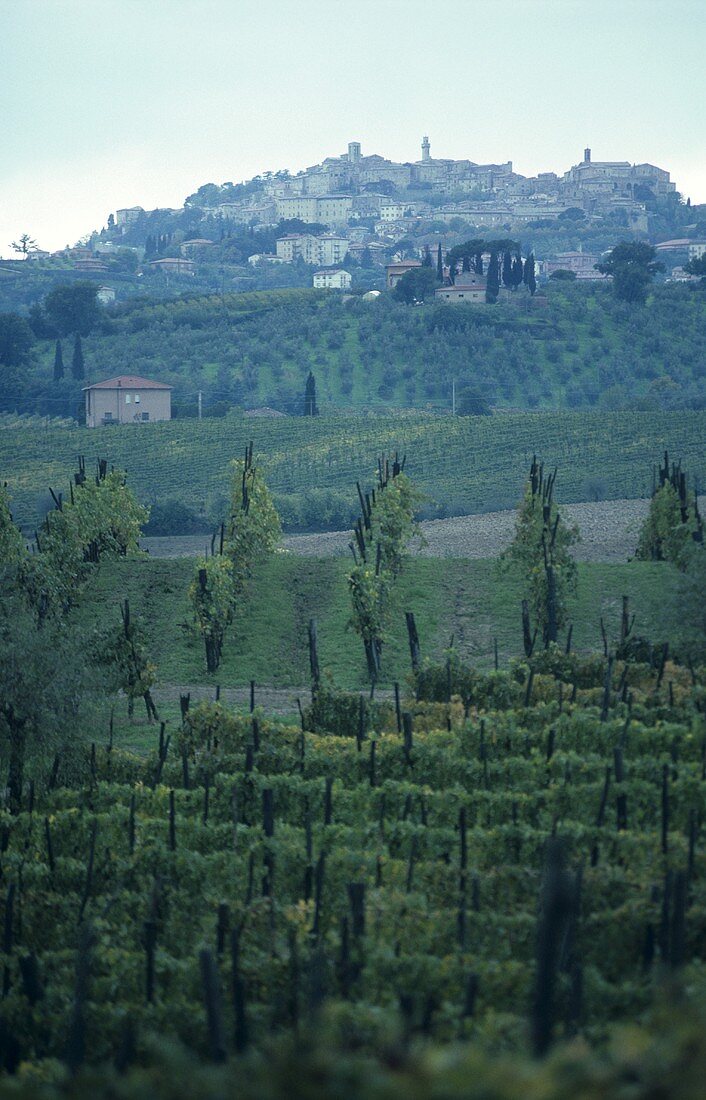 Das Weinbaugebiet Montepulciano, Toskana, Italien